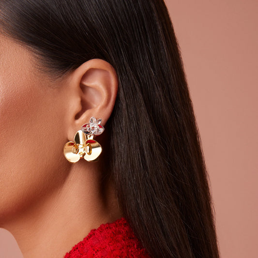 EVOLUA EARRING