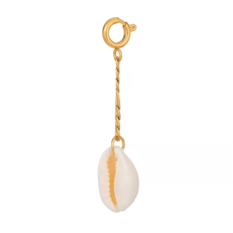 MUSA SHELL CHARM